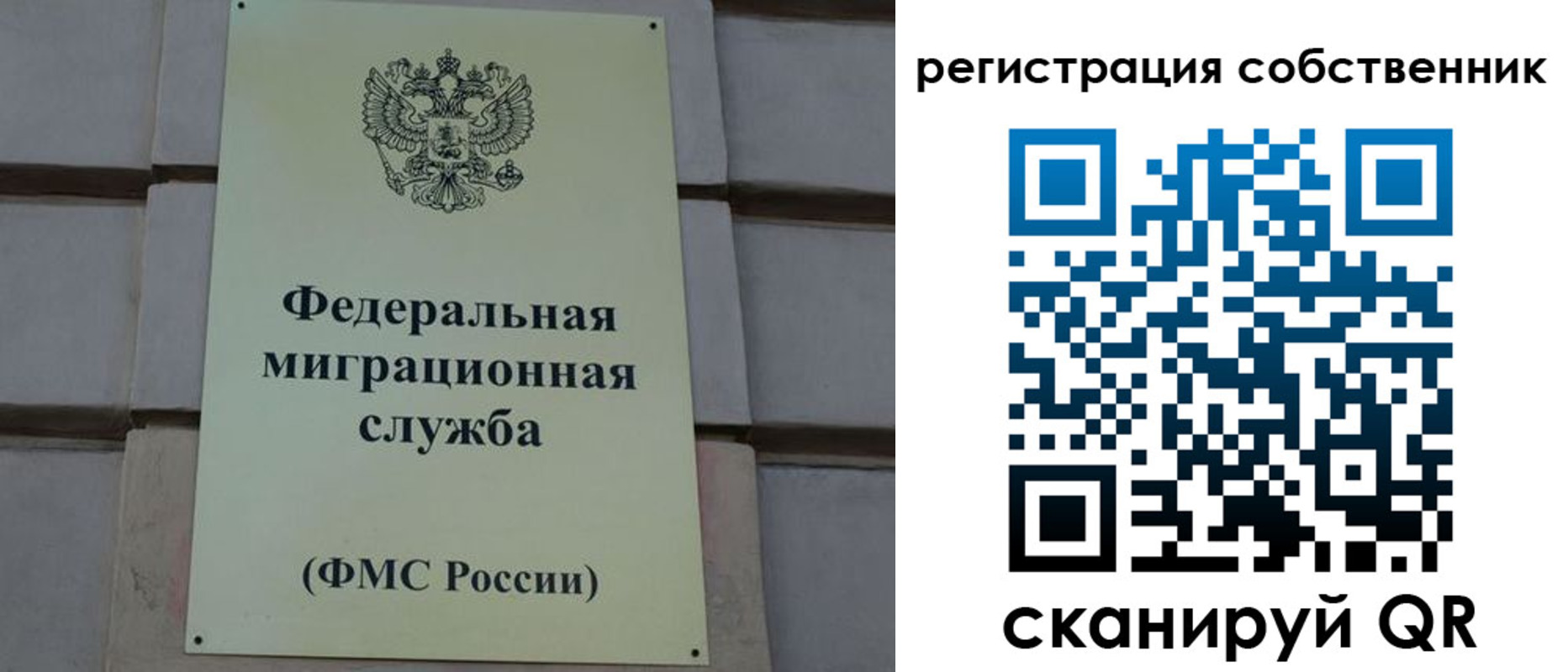 прописка гарантия в Снежногорске